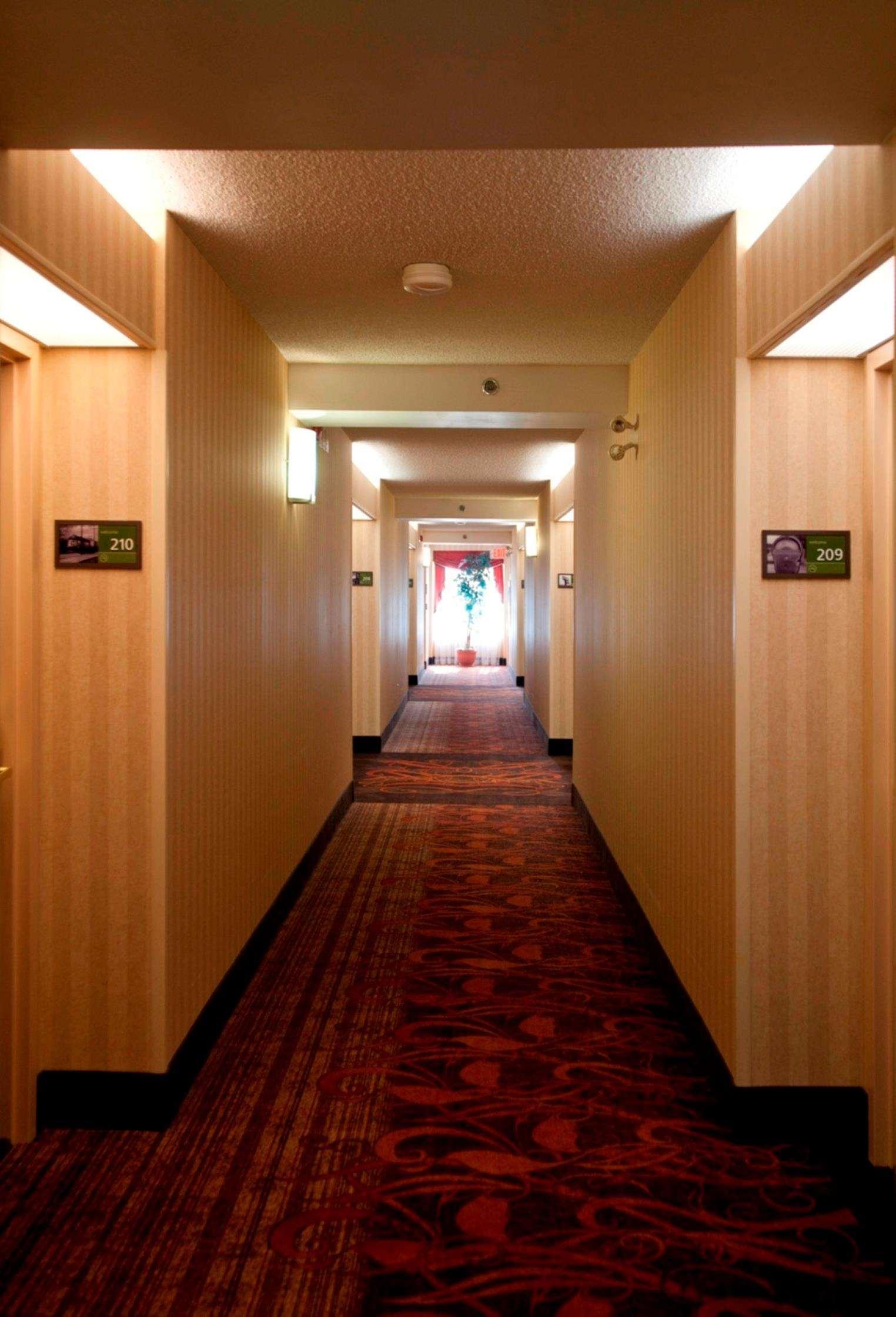 Hampton Inn Toronto-Mississauga West ภายใน รูปภาพ